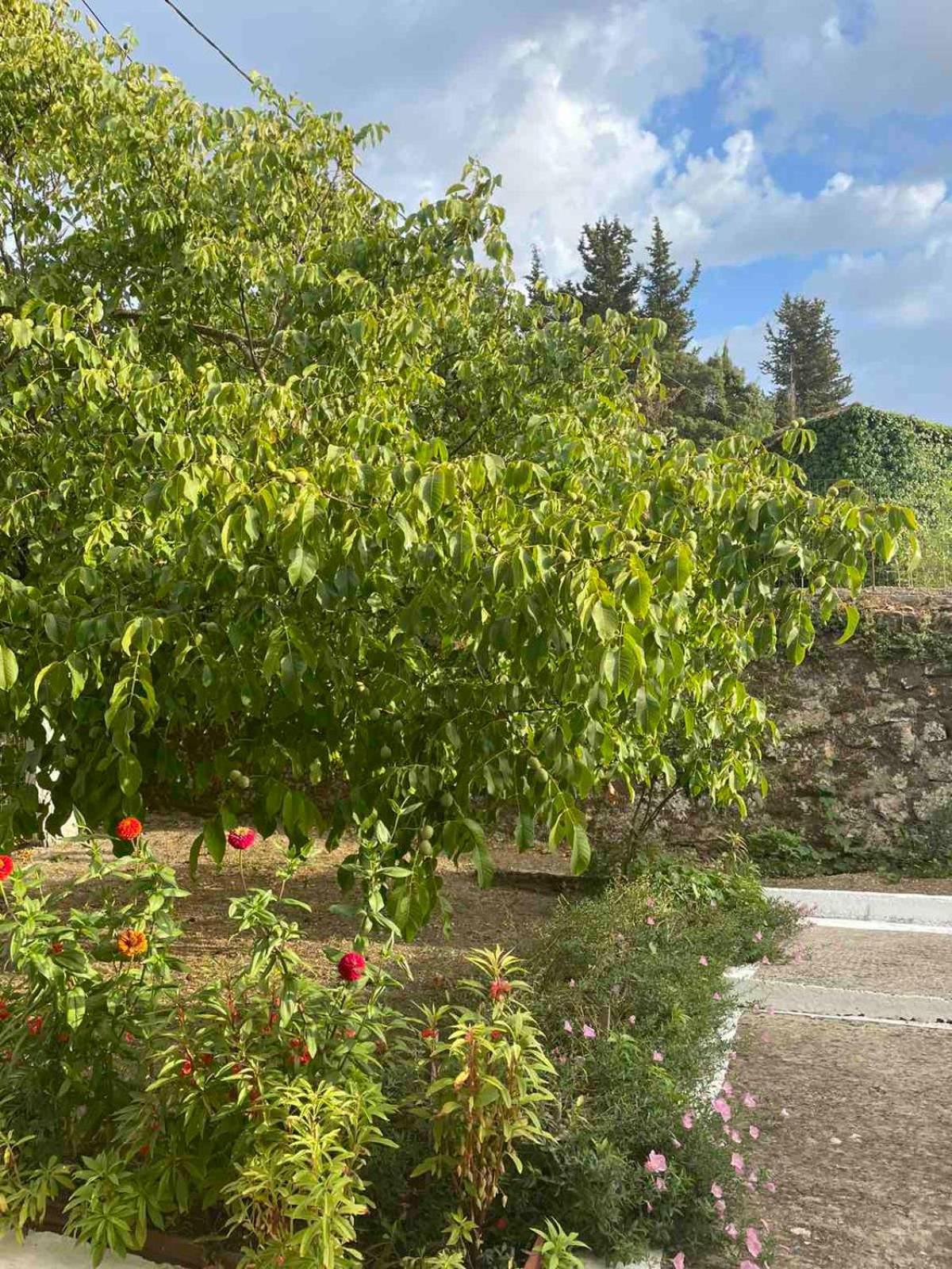 Villa Anesis Asprogerakata Exterior foto